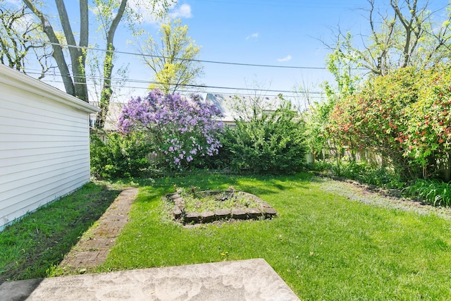 482 Fitch Rd, Chicago Heights, IL 60411 - view of green lawn
