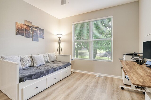 11316 Maplewood Dr, Plainfield, IL 60585 - living room with plenty of natural light and light wood-style floors