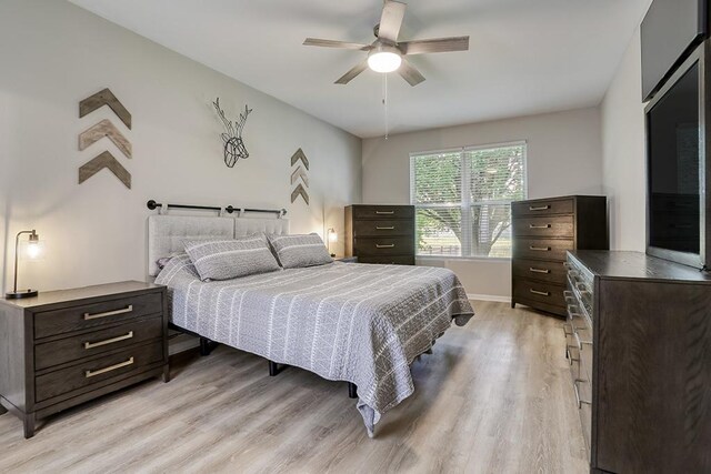 11316 Maplewood Dr, Plainfield, IL 60585 - bedroom featuring light wood-style flooring and a ceiling fan