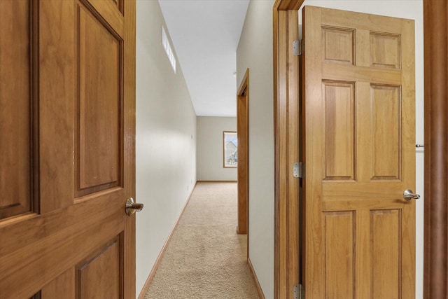 2104A Lucille Ln, Mahomet, IL 61853 - hallway with light colored carpet and baseboards