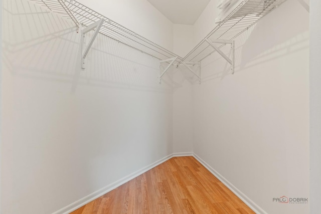 557 E Shag Bark Ln Unit H, Streamwood, IL 60107 - spacious closet with light wood finished floors