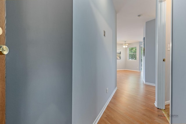 557 E Shag Bark Ln Unit H, Streamwood, IL 60107 - corridor featuring light wood-type flooring and baseboards