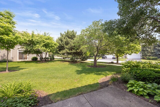 2311 Sheehan Dr, Naperville, IL 60564 - photo 20