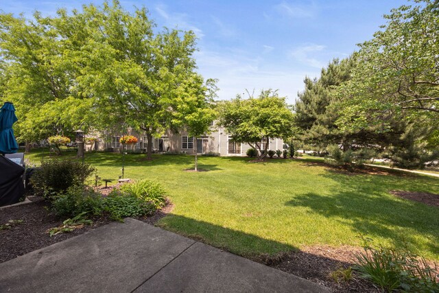 2311 Sheehan Dr, Naperville, IL 60564 - photo 21