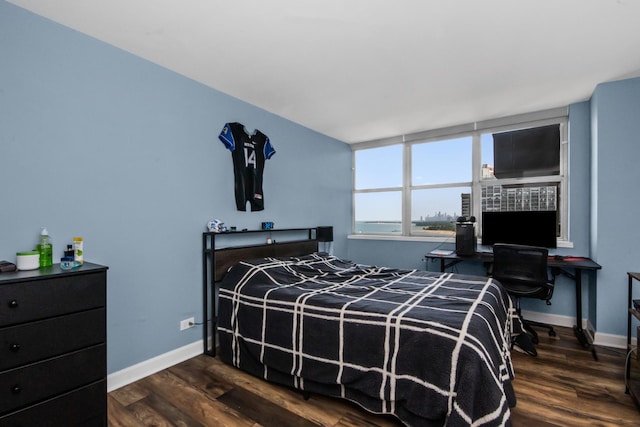 6301 N Sheridan Rd Unit 18E, Chicago, IL 60660 - bedroom featuring dark wood-style flooring and baseboards