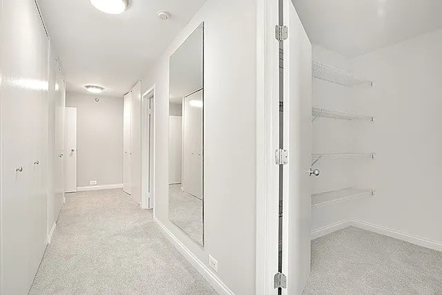 474 N Lake Shore Dr Unit 6101, Chicago, IL 60611 - photo 19