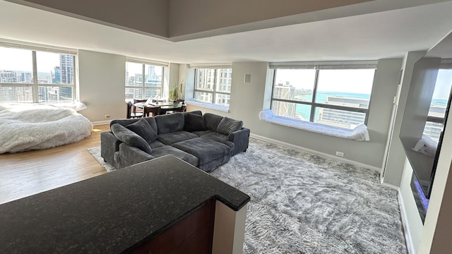 474 N Lake Shore Dr Unit 6101, Chicago, IL 60611 - photo 3