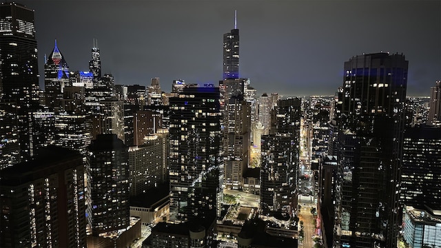 474 N Lake Shore Dr Unit 6101, Chicago, IL 60611 - photo 9