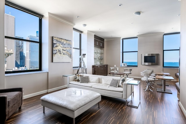310 S Michigan Ave Unit 1900, Chicago, IL 60604 - living room with wood finished floors, ornamental molding, and baseboards