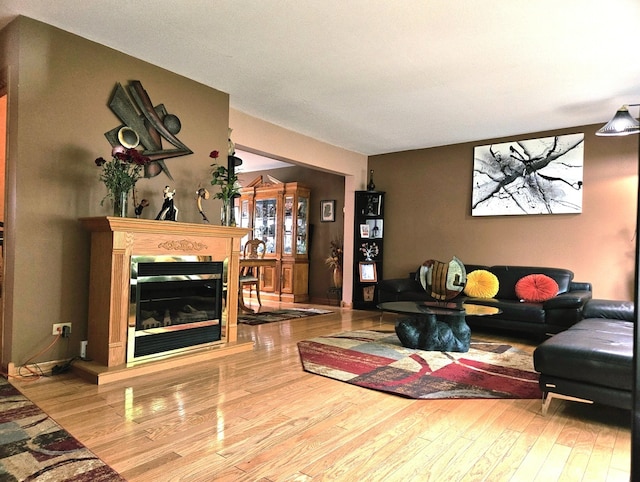 7108 Niles Ave, Niles, IL 60714 - living area with wood finished floors and a glass covered fireplace