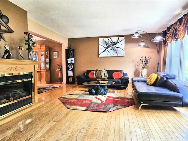 7108 Niles Ave, Niles, IL 60714 - living area featuring hardwood / wood-style flooring and a glass covered fireplace