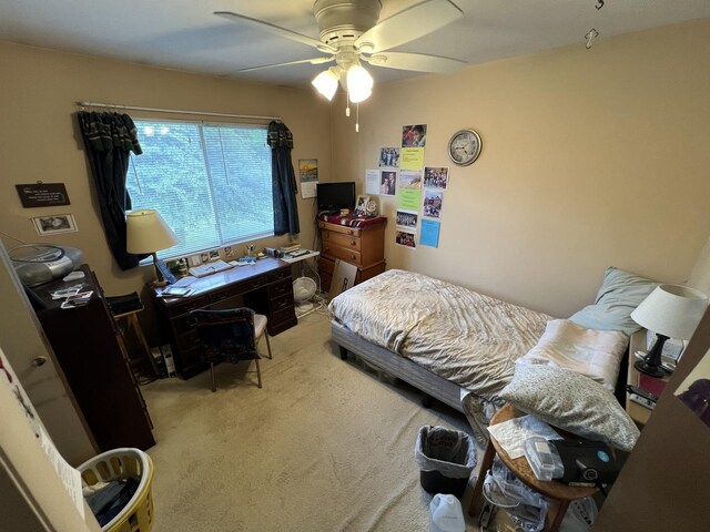 1096 Cascade Dr, Aurora, IL 60506 - photo 20