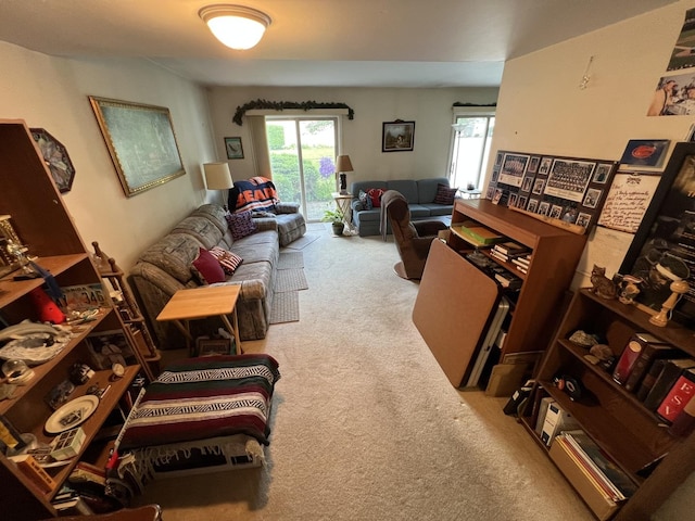 1096 Cascade Dr, Aurora, IL 60506 - photo 8