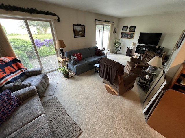 1096 Cascade Dr, Aurora, IL 60506 - photo 9