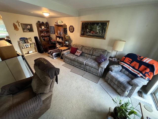 1096 Cascade Dr, Aurora, IL 60506 - photo 10