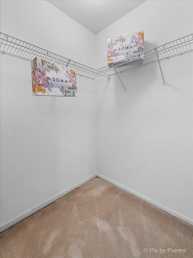 2040 Peach Tree Ln, Algonquin, IL 60102 - walk in closet featuring carpet