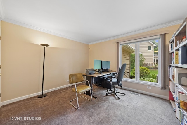 1051 Chadwick Ct, Aurora, IL 60502 - office space featuring ornamental molding and carpet flooring