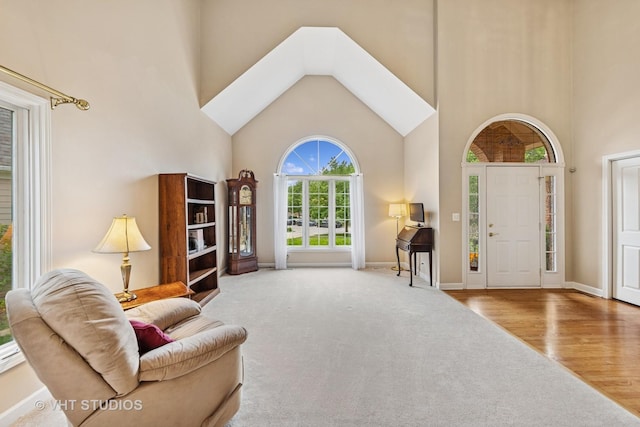 1051 Chadwick Ct, Aurora, IL 60502 - entrance foyer featuring high vaulted ceiling, carpet flooring, and wood finished floors