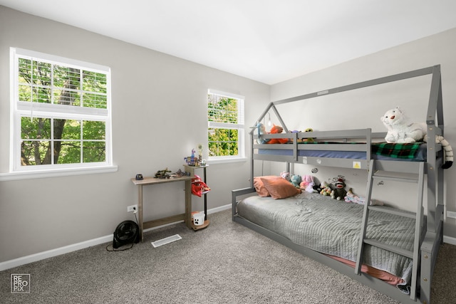 525 W Washington Ave Unit 6, Lake Bluff, IL 60044 - bedroom with carpet and baseboards