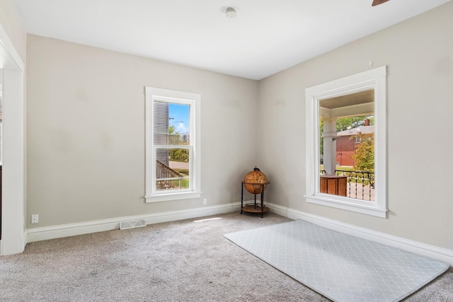458 Douglas St, Joliet, IL 60435 - spare room featuring healthy amount of natural light, a smoke detector, and carpet