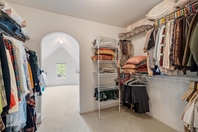 13738 Legend Trail Ln, Orland Park, IL 60462 - spacious closet with carpet flooring