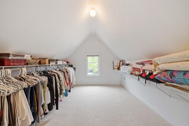 13738 Legend Trail Ln, Orland Park, IL 60462 - spacious closet featuring carpet and lofted ceiling