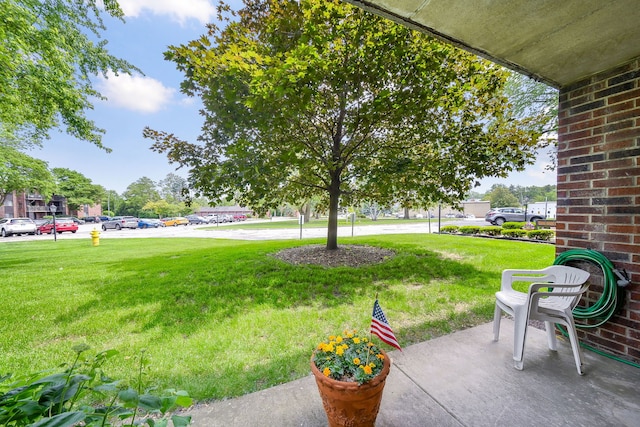 100 W Park Cir Unit 1E, Wheaton, IL 60187 - view of grassy yard