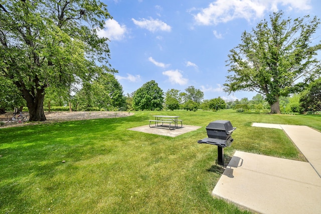 100 W Park Cir Unit 1E, Wheaton, IL 60187 - view of green lawn
