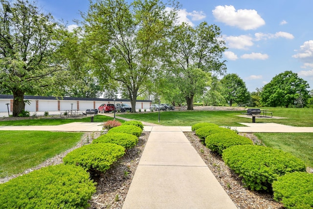 100 W Park Cir Unit 1E, Wheaton, IL 60187 - surrounding community featuring a lawn
