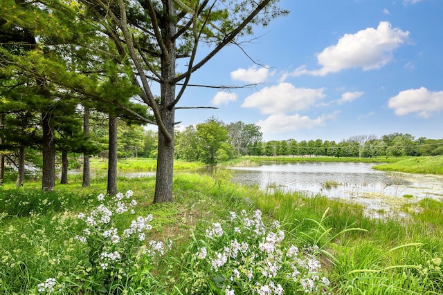 100 W Park Cir Unit 1E, Wheaton, IL 60187 - water view with a heavily wooded area