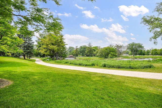 100 W Park Cir Unit 1E, Wheaton, IL 60187 - surrounding community featuring a water view, a lawn, and view of scattered trees