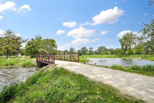 100 W Park Cir Unit 1E, Wheaton, IL 60187 - surrounding community with a water view
