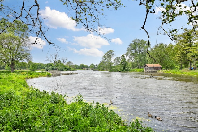 100 W Park Cir Unit 1E, Wheaton, IL 60187 - water view
