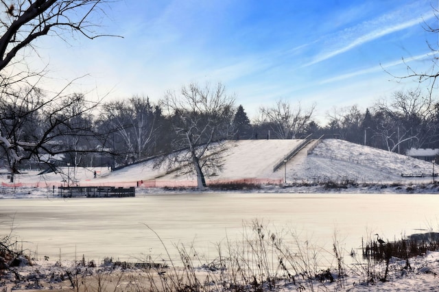 100 W Park Cir Unit 1E, Wheaton, IL 60187 - view of yard layered in snow