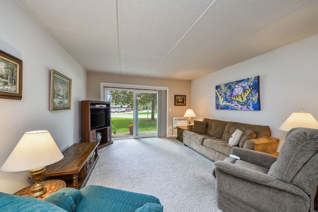 100 W Park Cir Unit 1E, Wheaton, IL 60187 - carpeted living area with a wall unit AC and a textured ceiling