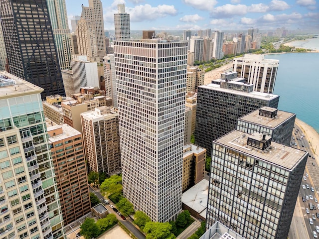 260 E Chestnut St Unit 3202, Chicago, IL 60611 - photo 1