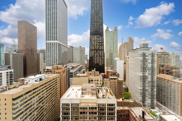 260 E Chestnut St Unit 3202, Chicago, IL 60611 - photo 17