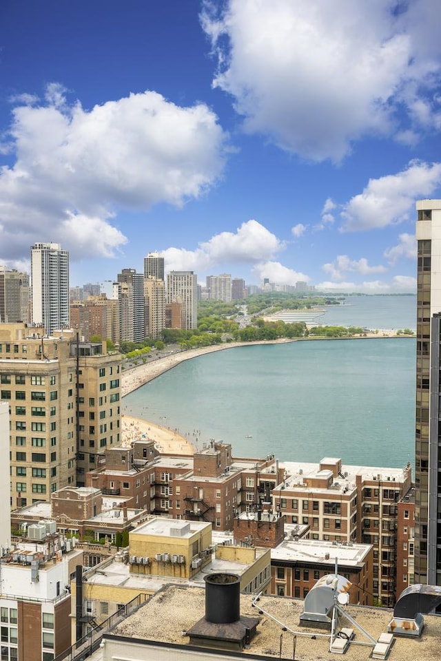260 E Chestnut St Unit 3202, Chicago, IL 60611 - photo 3