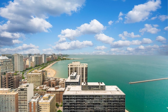 260 E Chestnut St Unit 3202, Chicago, IL 60611 - photo 26