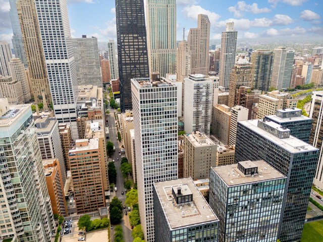 260 E Chestnut St Unit 3202, Chicago, IL 60611 - photo 34