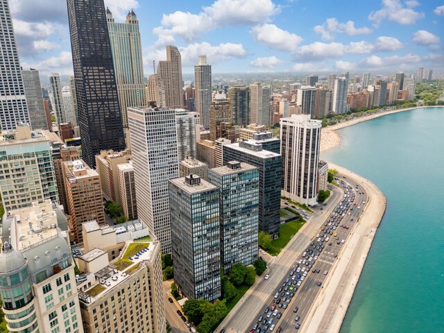 260 E Chestnut St Unit 3202, Chicago, IL 60611 - photo 35