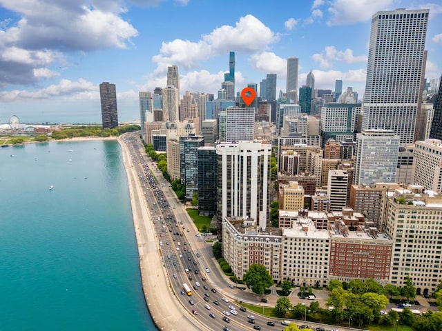 260 E Chestnut St Unit 3202, Chicago, IL 60611 - photo 37