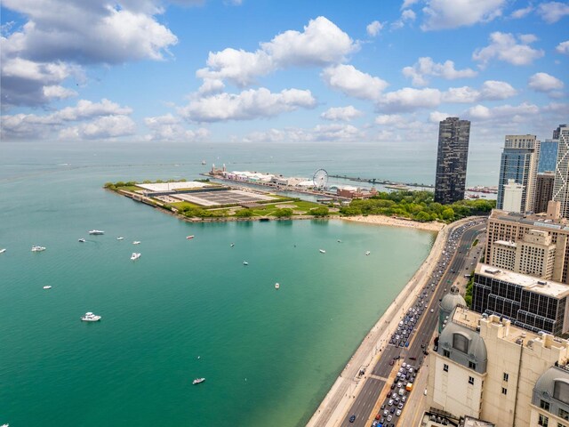 260 E Chestnut St Unit 3202, Chicago, IL 60611 - photo 38