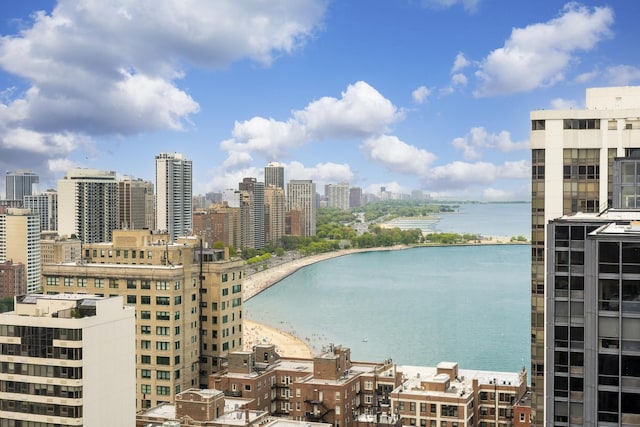 260 E Chestnut St Unit 3202, Chicago, IL 60611 - photo 5