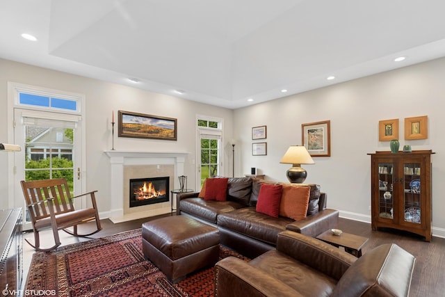 65 S Asbury Ct, Lake Forest, IL 60045 - living area with recessed lighting, a high end fireplace, and dark wood-type flooring