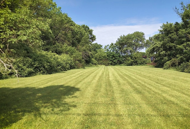 2822 Jackson Dr, Arlington Heights, IL 60004 - photo 4