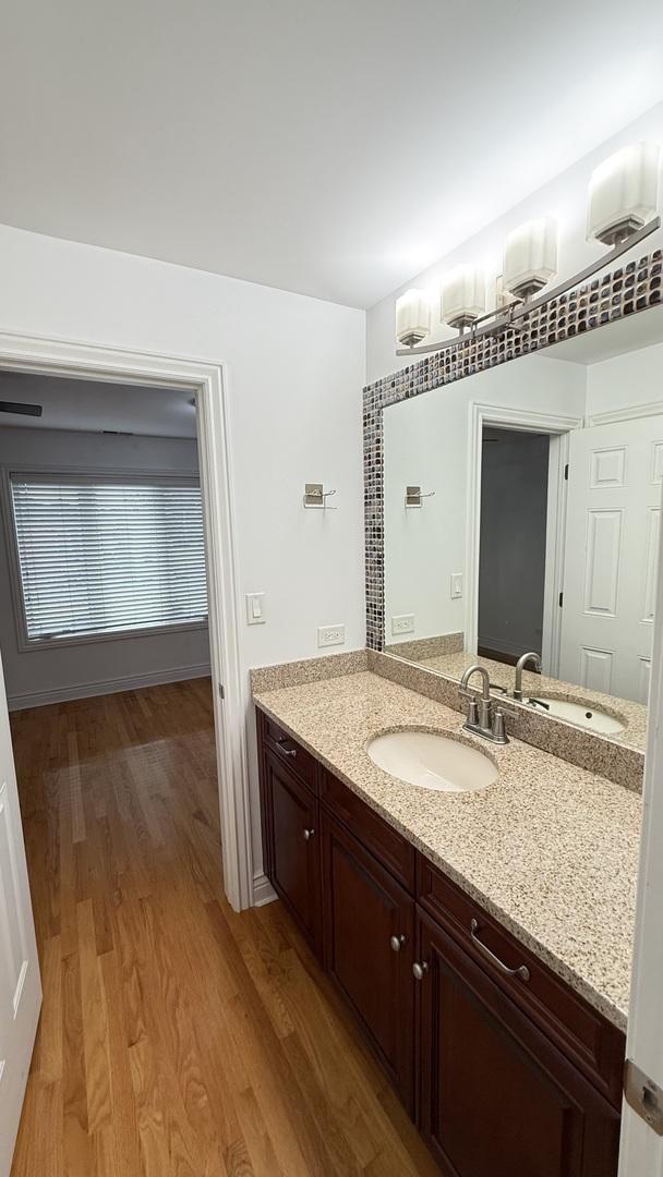 3004 S Canal St, Chicago, IL 60616 - bathroom with wood finished floors and vanity