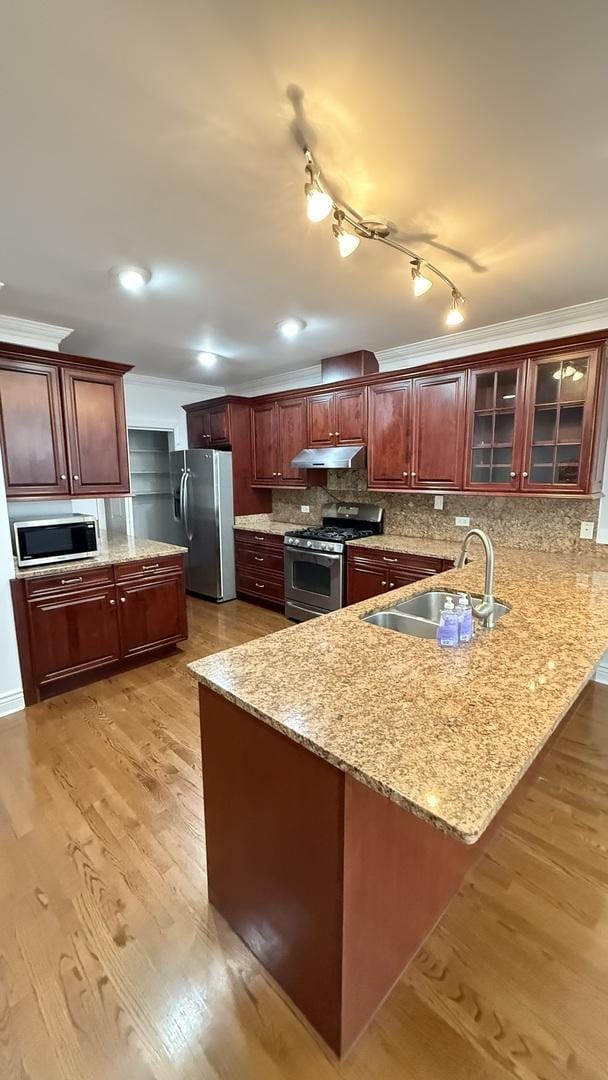 3004 S Canal St, Chicago, IL 60616 - kitchen featuring appliances with stainless steel finishes, a sink, a peninsula, under cabinet range hood, and glass insert cabinets