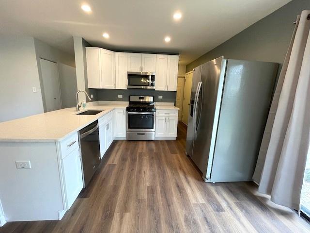 211 W Birchwood Dr Unit 211, Romeoville, IL 60446 - kitchen featuring appliances with stainless steel finishes, a sink, dark wood-style flooring, a peninsula, and light countertops