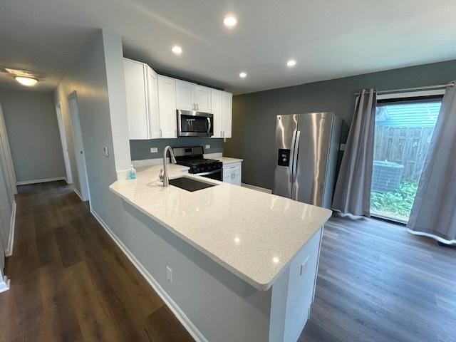 211 W Birchwood Dr Unit 211, Romeoville, IL 60446 - kitchen featuring stainless steel appliances, a sink, a peninsula, dark wood-style flooring, and white cabinetry